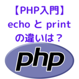 echo-print